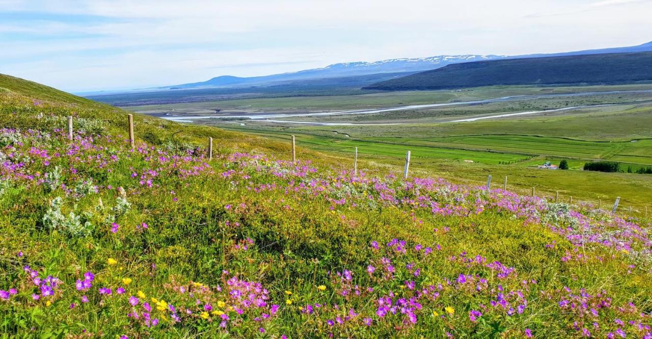 Svartaborg Húsavík Exteriér fotografie