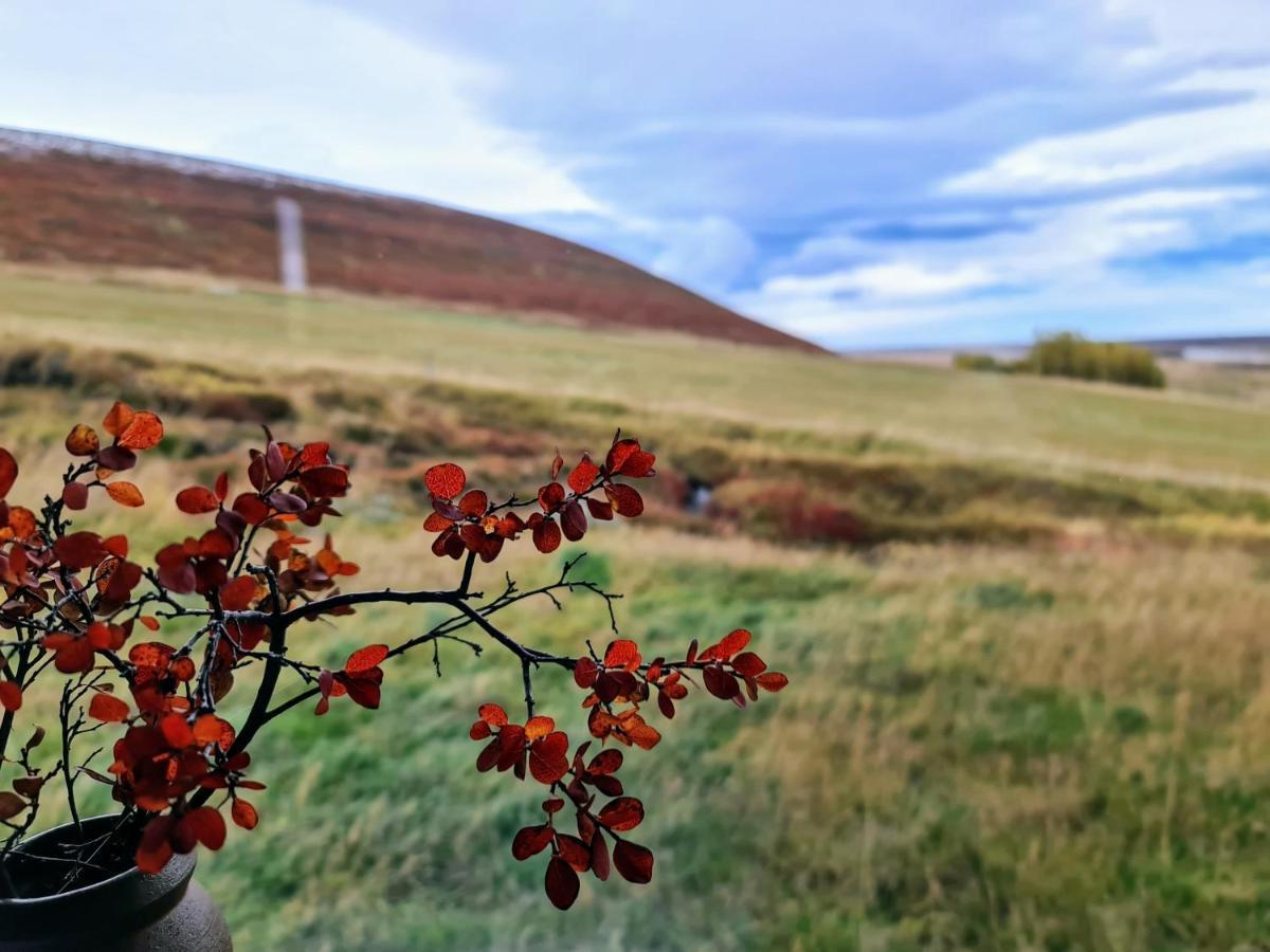 Svartaborg Húsavík Exteriér fotografie